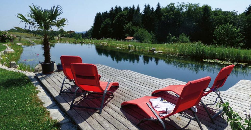 Schwimmteich